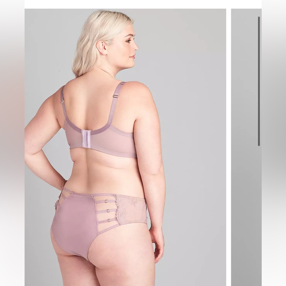 Lane Bryant scallop lace cheeky panty